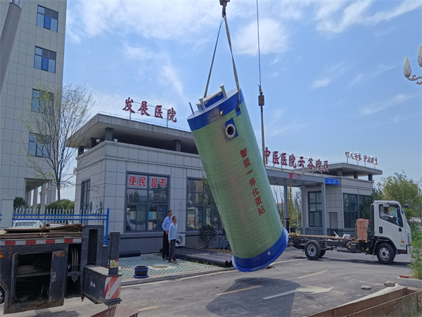 小蝌蚪视频污下载污水泵站